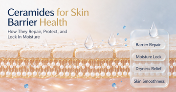 The Lipid Bilayer Reconstructive: Restoring Barrier Integrity in Reactive Skin